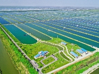 江边城外孟洪波:食材成本超过20%的品牌,不适合出海(图3) 江边城外孟洪波:食材成本超过20%的品牌,不适合出海(图3)