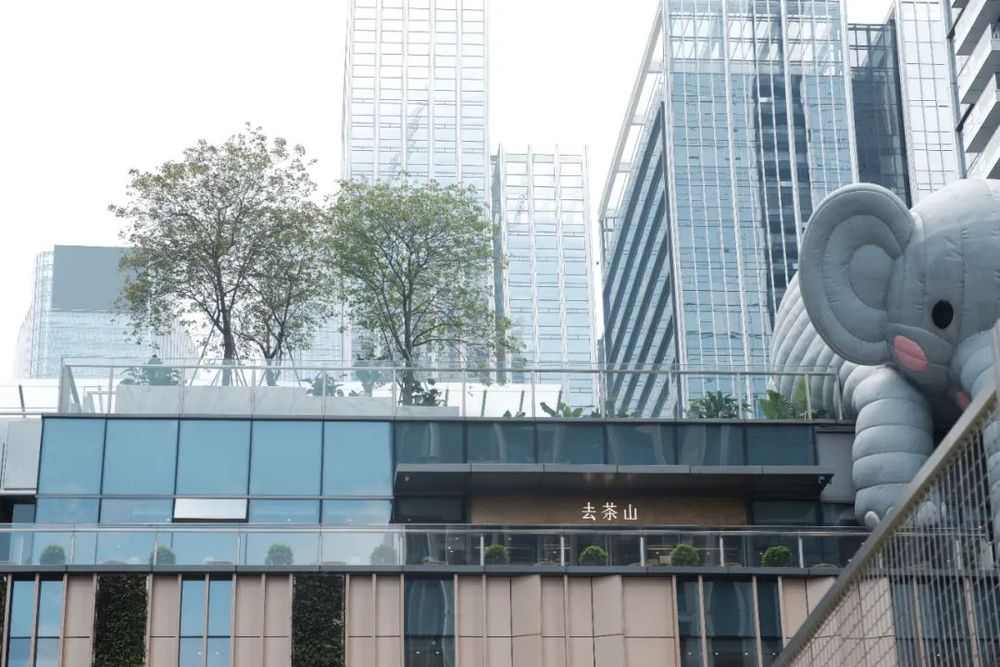 爆火的地方奶茶，集体“杀向”一线城市(图5)