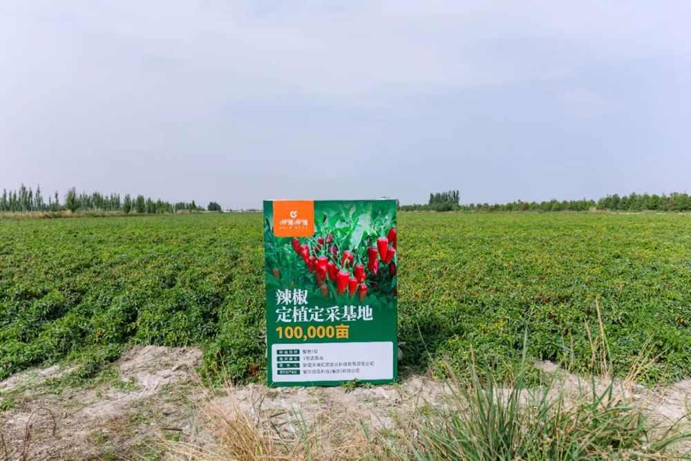 复调龙头企业幕后的理工男:懂产品、懂技术、更懂市场(图7) 复调龙头企业幕后的理工男:懂产品、懂技术、更懂市场(图7)