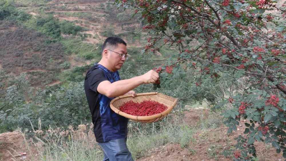复调龙头企业幕后的理工男:懂产品、懂技术、更懂市场(图5) 复调龙头企业幕后的理工男:懂产品、懂技术、更懂市场(图5)