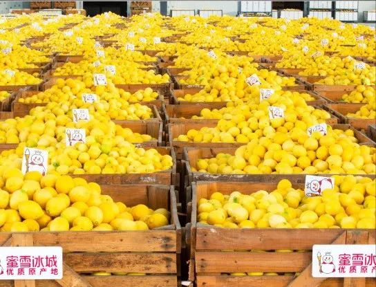 爆火的4元柠檬水，又有新动作(图1)