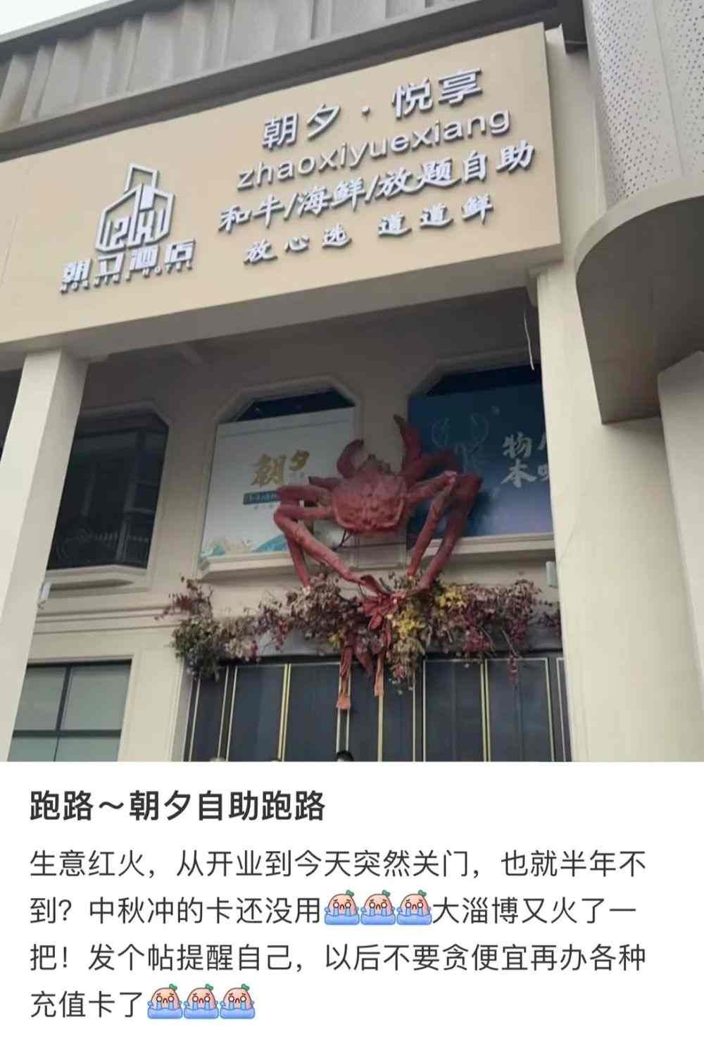 质价比时代：平价自助开花，高端自助渡劫(图1)