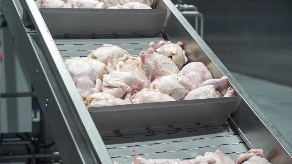 仟味×福州M17海鲜集市火锅，3招打造“福州城市名片”(图25)