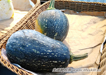 南瓜做料理,品种不同如何挑选?(图2) 南瓜做料理,品种不同如何挑选?