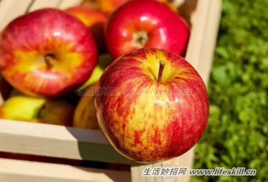 你知道吗？苹果不可以和青菜放在一起！