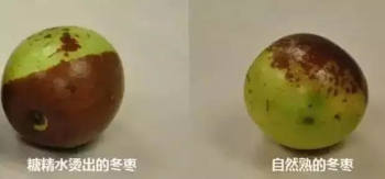 如何分辨糖精枣?(图3) 如何分辨糖精枣?