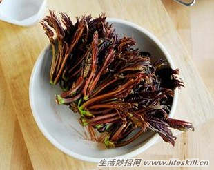 食用香椿芽的注意事项(图1) 食用香椿芽的注意事项