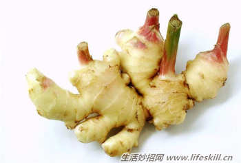 姜、蒜发芽了还能吃吗?(图1) 姜、蒜发芽了还能吃吗?