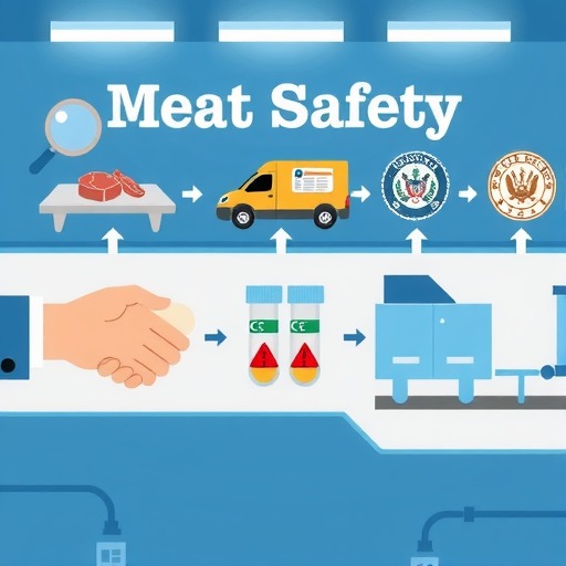 从采购到销售：市场监管总局指导行业协会防控肉品风险