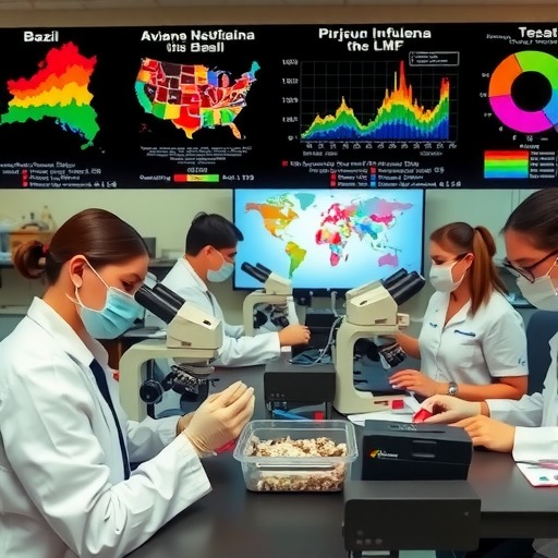 澳门市政署关注巴西和美国部分地区出现高致病性禽流感