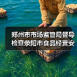 郑州市市场监管局督导检查荥阳市食品经营安全情况（图4）