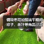 铜陵市局加强端午期间粽子、茶叶等商品过度包装监管（图4）