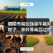 铜陵市局加强端午期间粽子、茶叶等商品过度包装监管（图3）