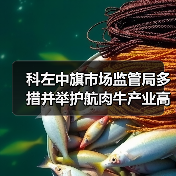 科左中旗市场监管局多措并举护航肉牛产业高质量发展（图1）