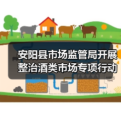 安阳县市场监管局开展整治酒类市场专项行动（图3）