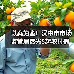 以案为鉴！汉中市市场监管局曝光5起农村假冒伪劣食品专项整治典型案例（第一批）（图3）