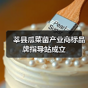 莘县瓜菜菌产业商标品牌指导站成立（图4）