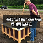 莘县瓜菜菌产业商标品牌指导站成立（图2）