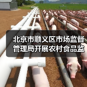 北京市顺义区市场监督管理局开展农村食品监督检查（图4）