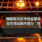西藏自治区市场监管局民生领域案件查办“铁拳”行动典型案例（第一批）（图4）