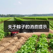 关于粽子的消费提示（图4）