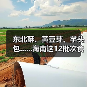 东北酥、黄豆芽、芋头包......海南这12批次食品抽检不合格（图2）