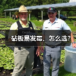 砧板易发霉，怎么选？（图4）