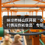 蚌埠市蚌山区开展“农村假冒伪劣食品”专项整治活动（图4）