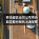 市场监管总局公布市场监管服务型执法典型案例（图3）