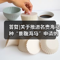 答复|关于推进名贵海马种“膨腹海马”申请纳入国家新食品原料目录及《福建省中药饮片炮制规范》的建议（图4）