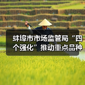 蚌埠市市场监管局“四个强化”推动重点品种食用农产品专项整治见实效（图3）
