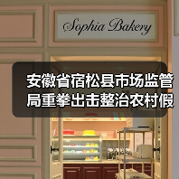 安徽省宿松县市场监管局重拳出击整治农村假冒伪劣食品（图1）