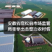 安徽省宿松县市场监管局重拳出击整治农村假冒伪劣食品（图2）
