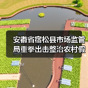 安徽省宿松县市场监管局重拳出击整治农村假冒伪劣食品（图4）