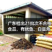 广东检出21批次不合格食品，有鱿鱼、白豆角、泥鳅等（图3）
