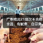 广东检出21批次不合格食品，有鱿鱼、白豆角、泥鳅等（图4）