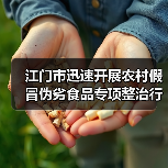 江门市迅速开展农村假冒伪劣食品专项整治行动（图1）