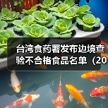 台湾食药署发布边境查验不合格食品名单（2025年5月6日）（图1）