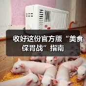 收好这份官方版“美食保胃战”指南（图2）