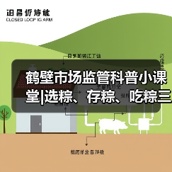鹤壁市场监管科普小课堂|选粽、存粽、吃粽三步解锁端午“粽”要知识（图4）