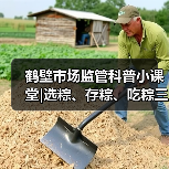 鹤壁市场监管科普小课堂|选粽、存粽、吃粽三步解锁端午“粽”要知识（图2）