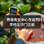 香港食安中心在猪耳样本检出沙门氏菌（图3）