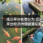 规范平台收费行为 促进平台经济持续健康发展《网络交易平台收费行为合规指南》面向社会征求意见（图1）