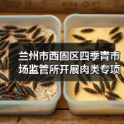 兰州市西固区四季青市场监管所开展肉类专项检查（图4）