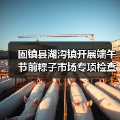 固镇县湖沟镇开展端午节前粽子市场专项检查工作（图3）