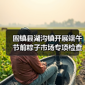 固镇县湖沟镇开展端午节前粽子市场专项检查工作（图2）
