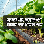 固镇县湖沟镇开展端午节前粽子市场专项检查工作（图4）