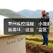 常州疾控提醒:小龙虾虽美味,这些“雷区”千万别踩!(图4) 常州疾控提醒:小龙虾虽美味,这些“雷区”千万别踩!(图4)