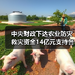 中央财政下达农业防灾救灾资金14亿元支持各地病虫害防控（图2）