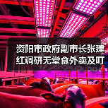 资阳市政府副市长张建红调研无堂食外卖及叮叮集市食品安全工作(图3) 资阳市政府副市长张建红调研无堂食外卖及叮叮集市食品安全工作(图3)